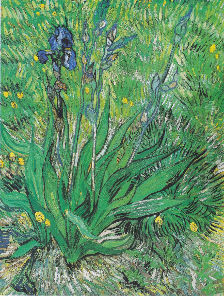 Iris Oil Painting by Vincent Van Gogh