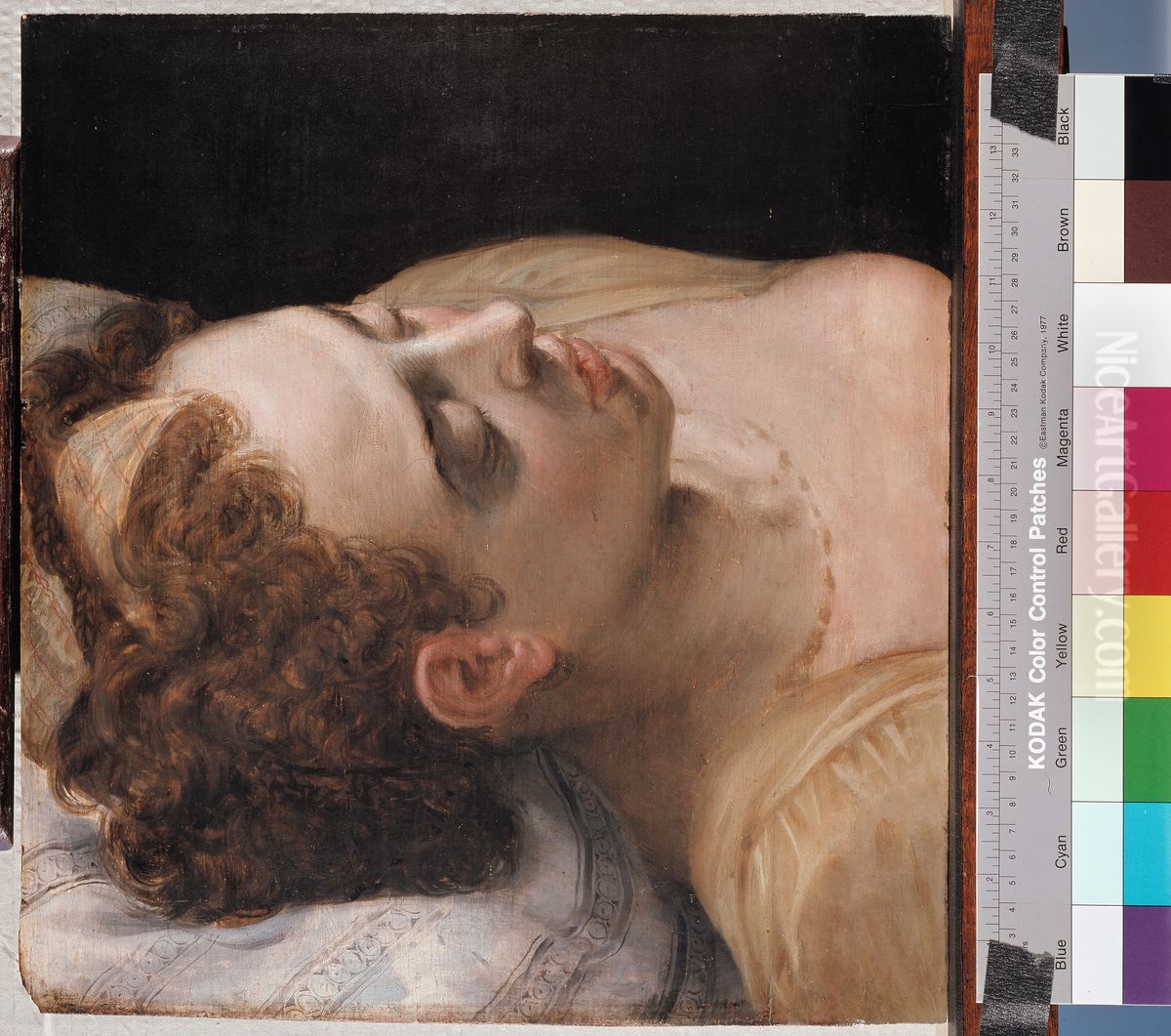 Study of the head of a woman lying down Oil Painting by Frans Floris I