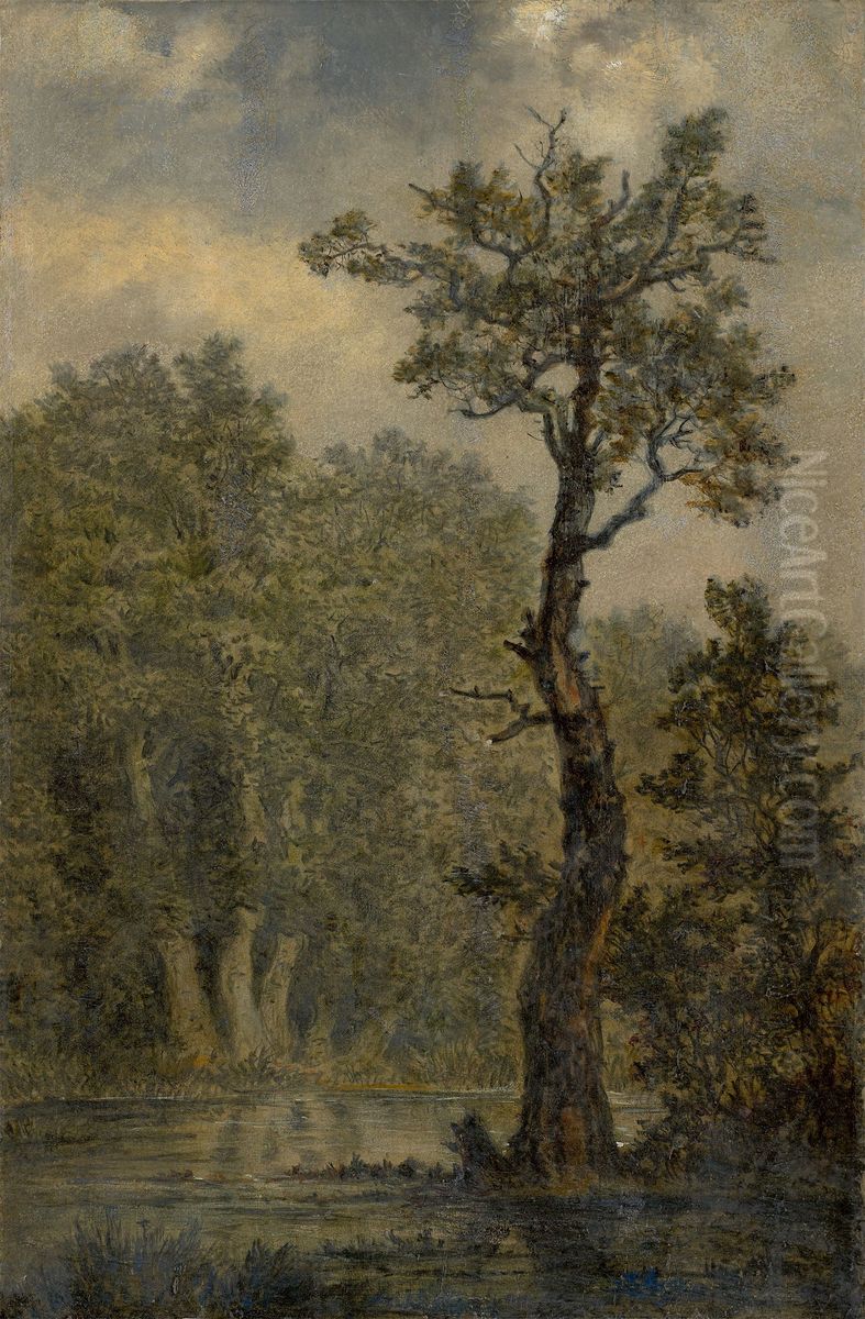 Wooded Landscape Oil Painting by Carl Gustav Carus