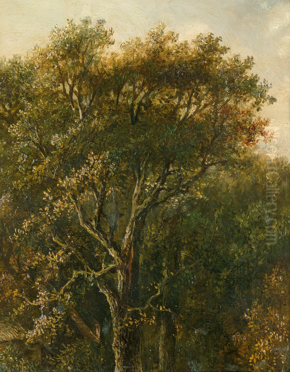 Waldstuck mit Eichenbaum Oil Painting by Carl Gustav Carus