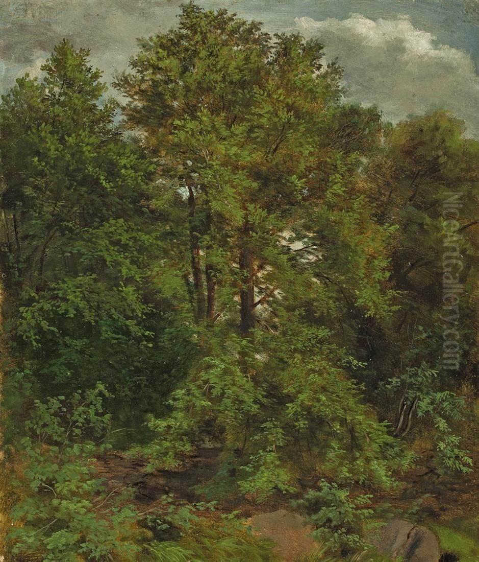 Motiv von der Pillnitzer Elbinsel Oil Painting by Carl Gustav Carus