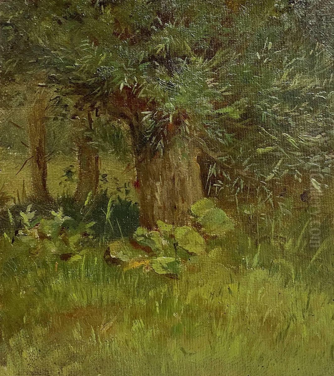 Tree study Oil Painting by Carl Gustav Carus