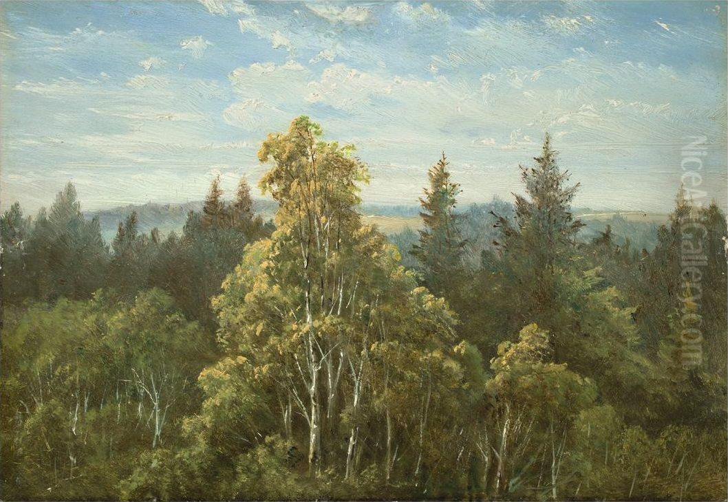 Wooded slope near Pillnitz Oil Painting by Carl Gustav Carus