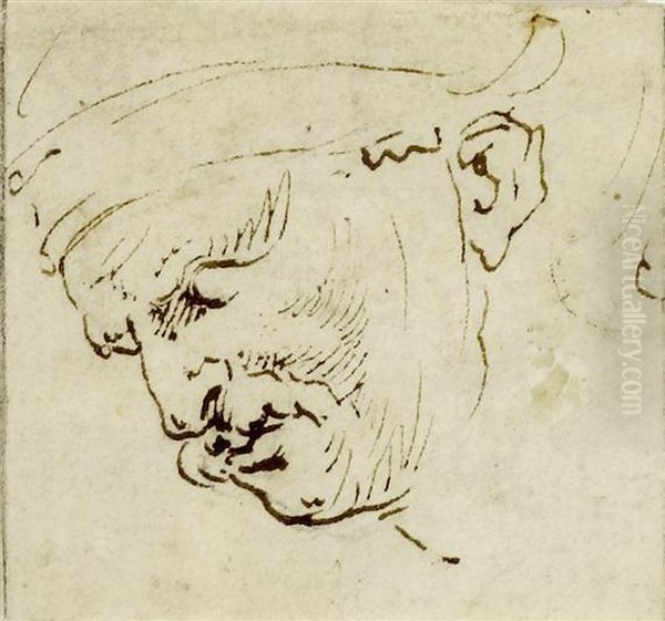 Four Head Studies Oil Painting by Simone Cantarini (Pesarese)