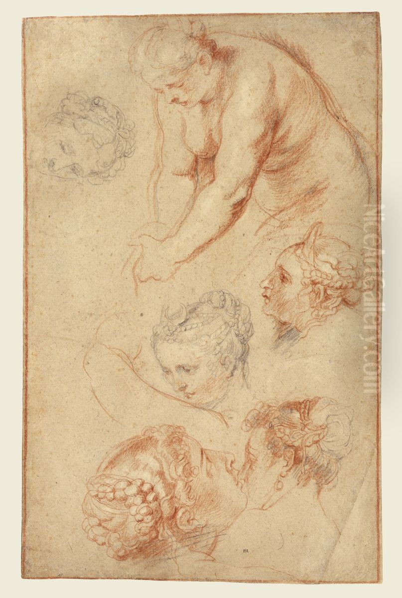 Studies of Women Oil Painting by (studio of) Rubens, Peter Paul