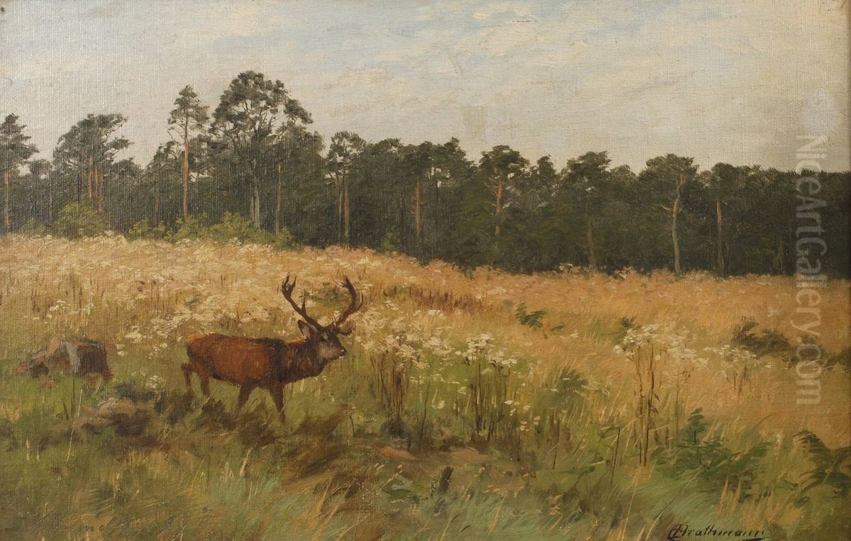 Deer in a forest clearing Oil Painting by Johann Christopher Drathmann