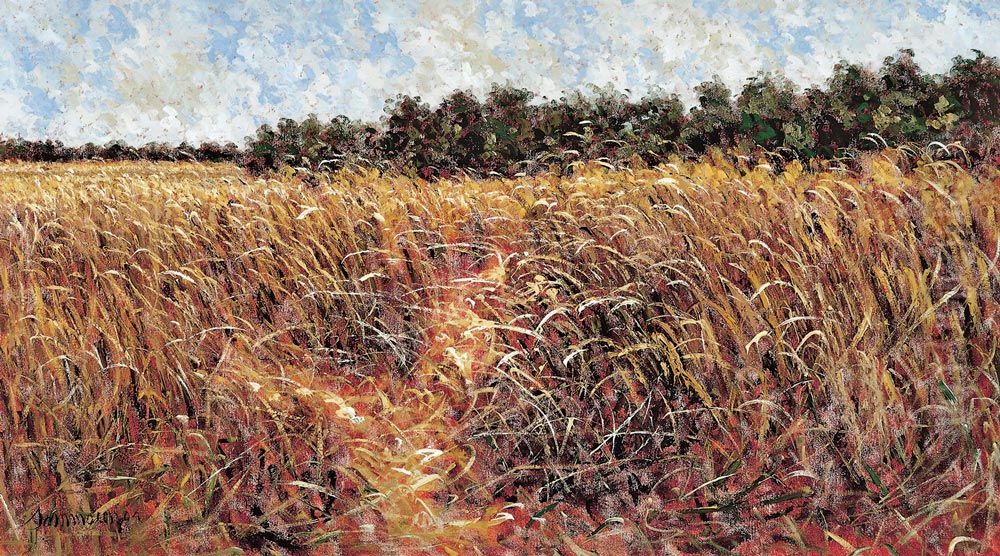 Wheat Field Oil Painting by Samir Sammoun