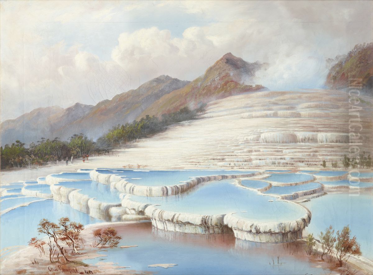 White Terraces, New Zealand Oil Painting by unknown
