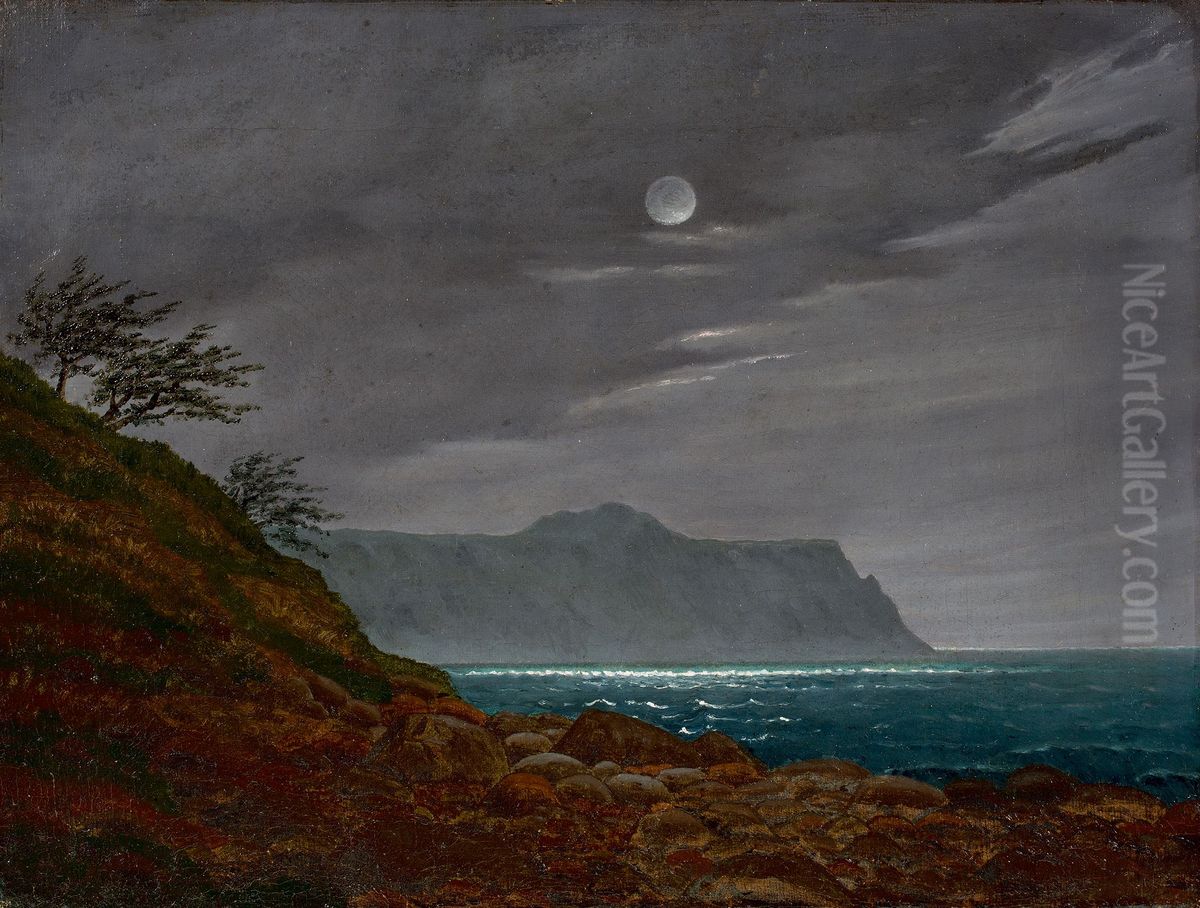 Moonlight night on Rugen Oil Painting by Johann Friedrich Boeck
