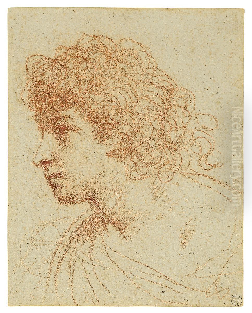 Head of boy, in profile to the left Oil Painting by Giovanni Francesco Barbieri