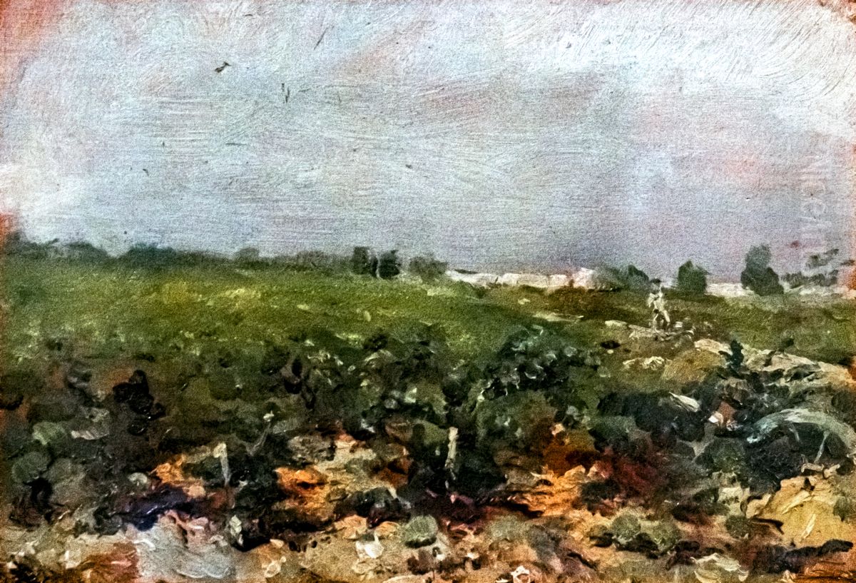 Celeyran, View of the vineyards Oil Painting by Henri De Toulouse-Lautrec