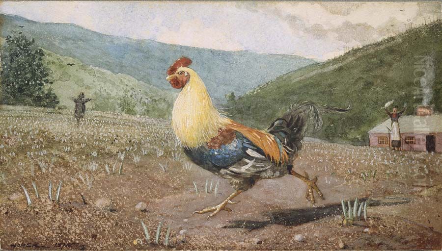 The Rooster Oil Painting by Winslow Homer