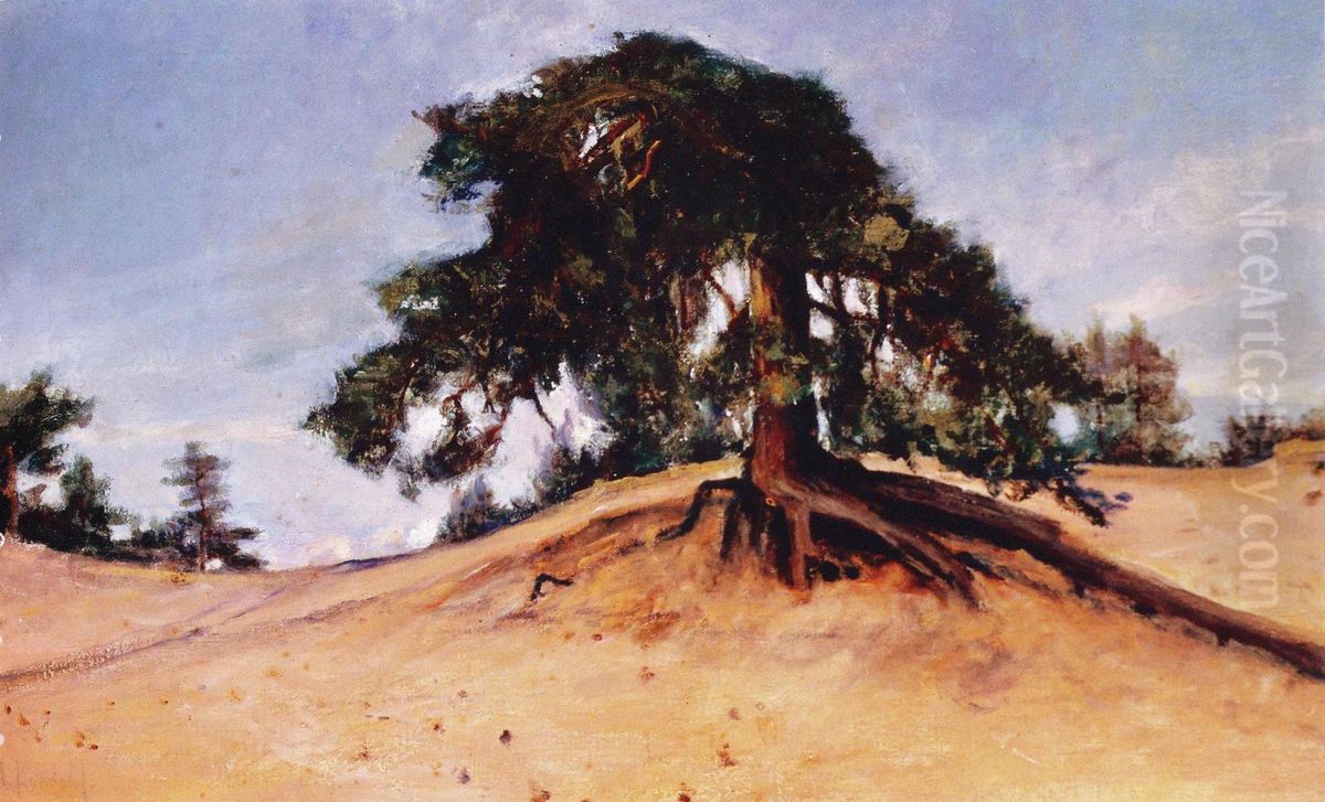 A broken pine (Lappvik) Oil Painting by Amelie Lundahl