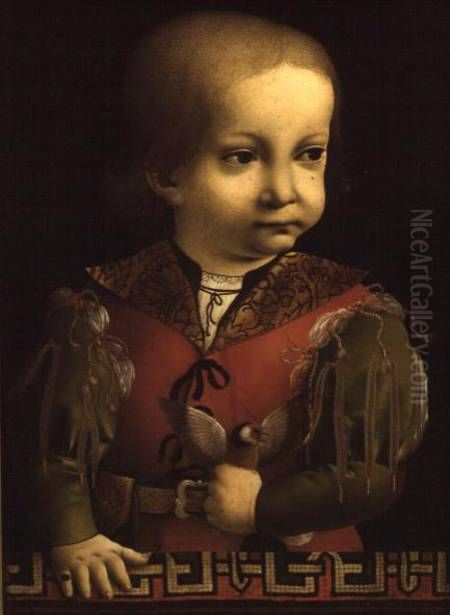 Portrait of Francesco Maria Sforza, known as 'Il Duchetto' Oil Painting by Marco D'Oggiono