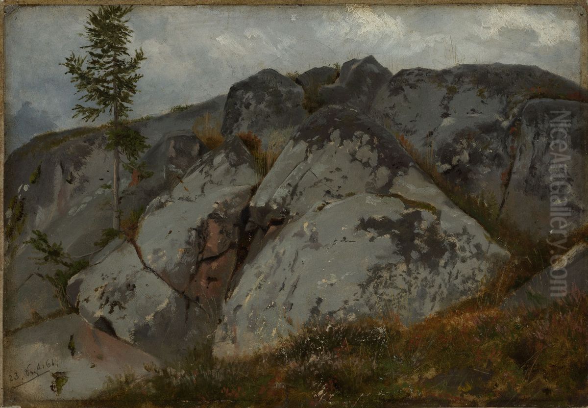 Felsblocke mit Tannchen Oil Painting by Hans Thoma