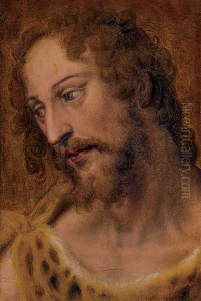 The Head of Saint John the Baptist Oil Painting by Stradanus
