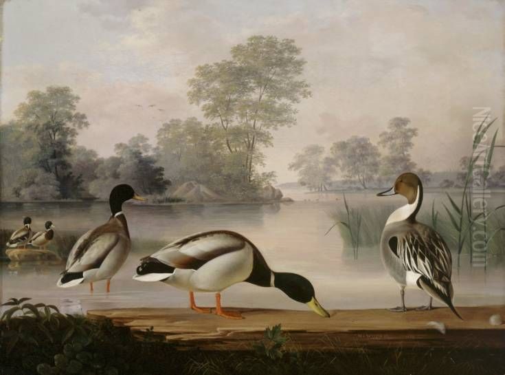 Ducks Oil Painting by Magnus Von Wright