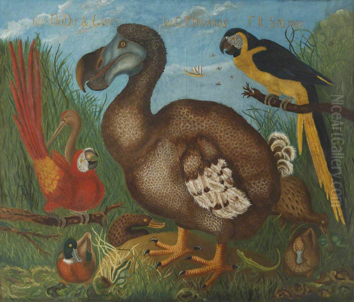 Dodo Oil Painting by Roelant Savery