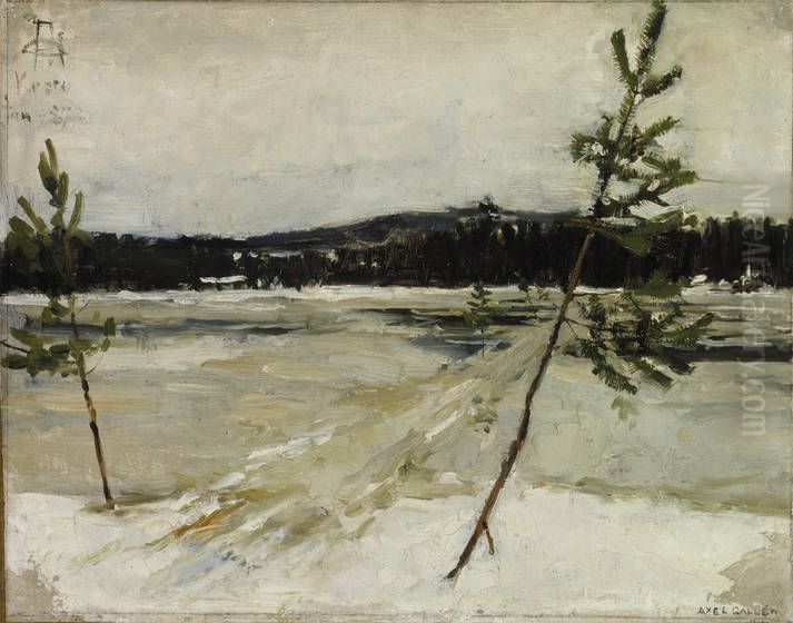 Viittatie jaalla Oil Painting by Akseli Valdemar Gallen-Kallela