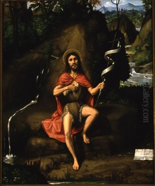 St. John in the Wilderness Oil Painting by Andrea Previtali