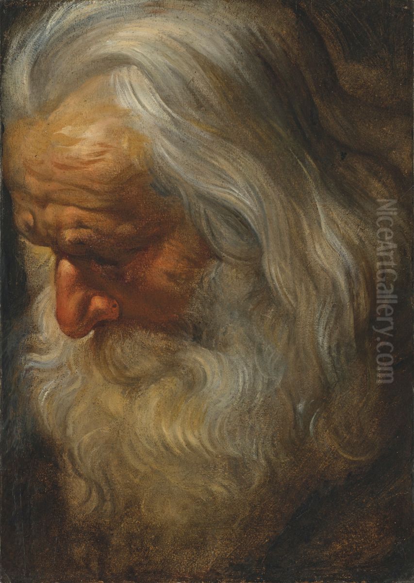 Head study of a bearded old man Oil Painting by (studio of) Rubens, Peter Paul