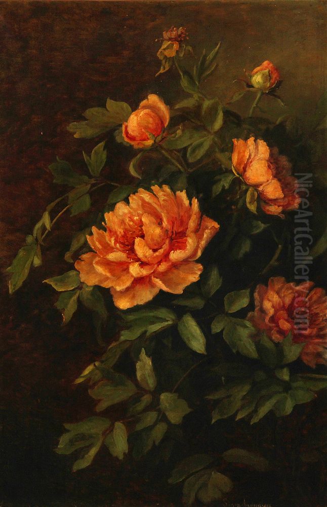 Opstilling med paeoner. Oil Painting by Signe Andreasen