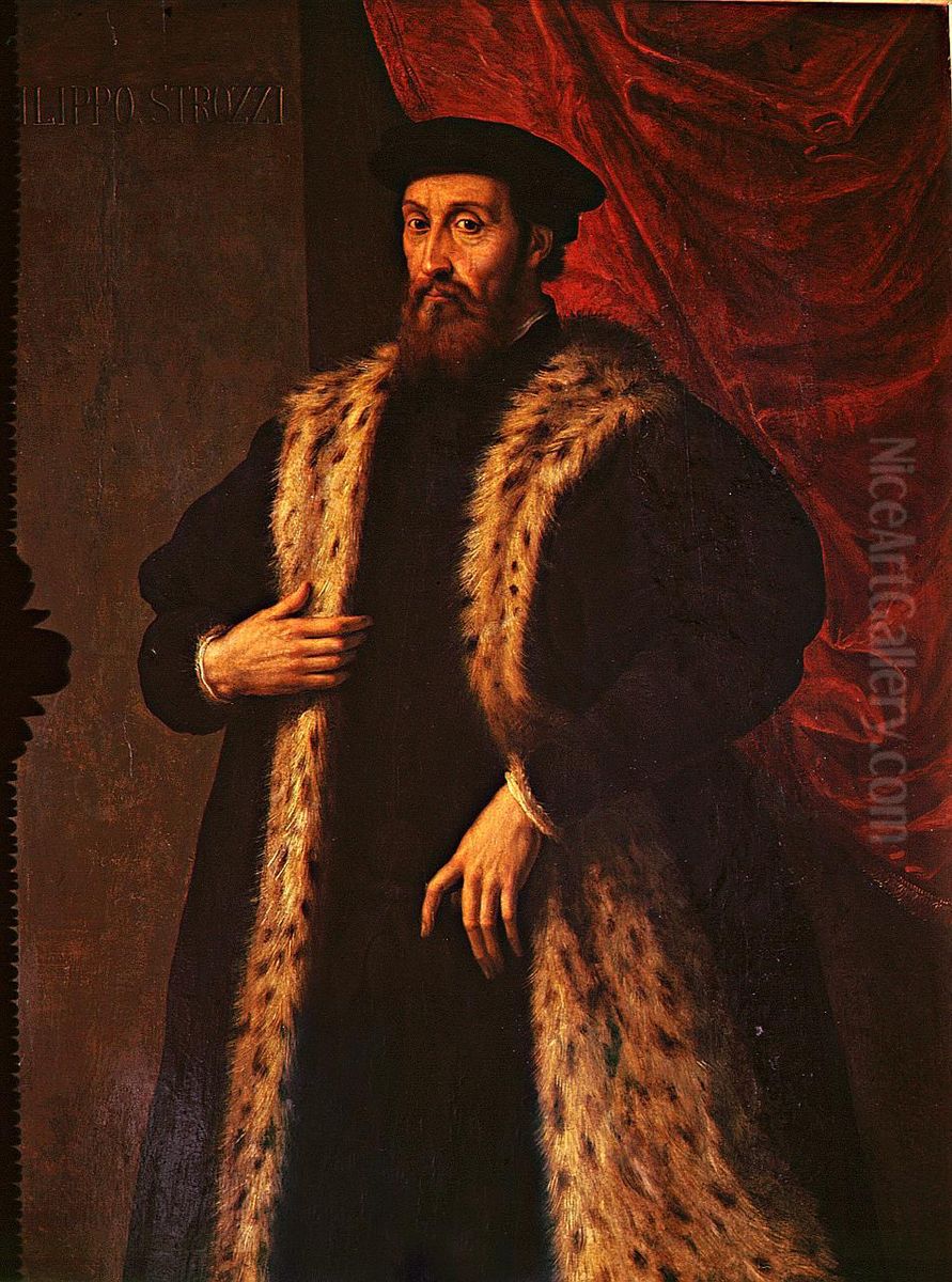 Portrait of Filippo Strozzi the Younger Oil Painting by Jacopino del Conte