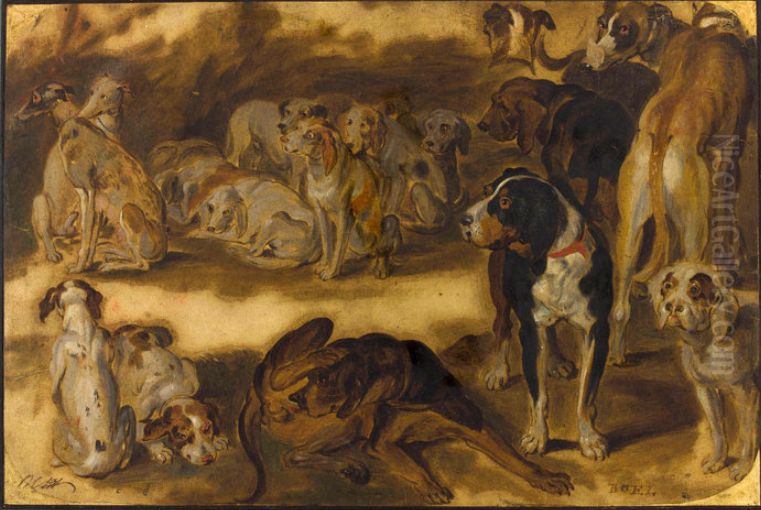 Study of 17 dogs Oil Painting by Pieter Boel