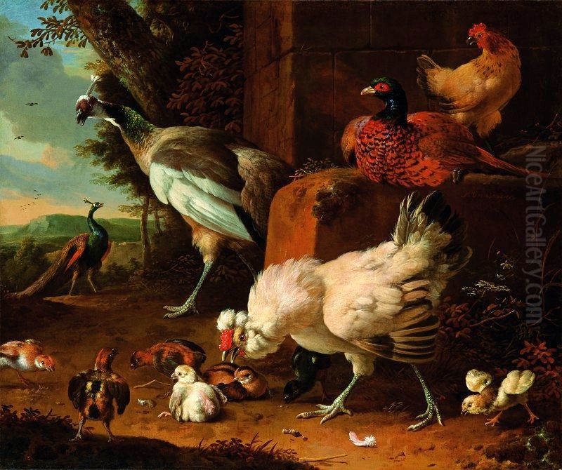 Domestic fowl with a pheasant and peacocks. Oil Painting by Melchior D'Hondecoeter