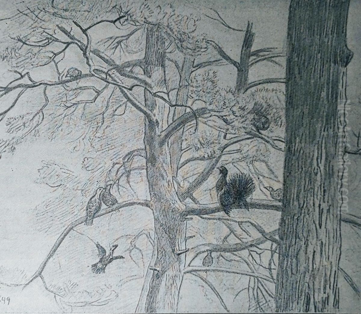 Spillende Tiur Oil Painting by Hans Gude