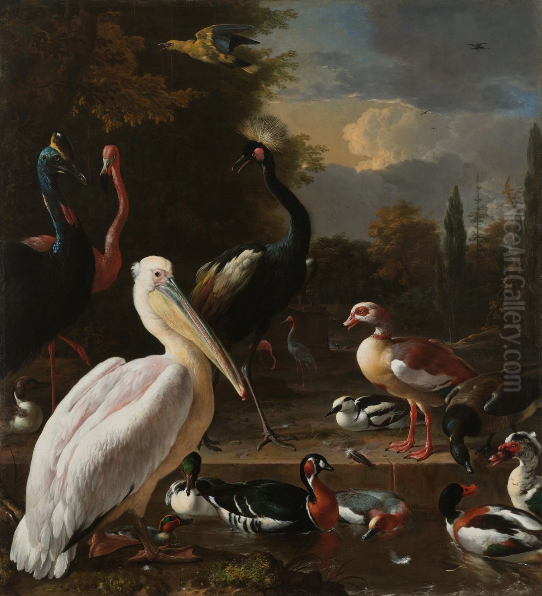 A Pelican and other Birds near a Pool, known as 'The Floating Feather' Oil Painting by Melchior D'Hondecoeter