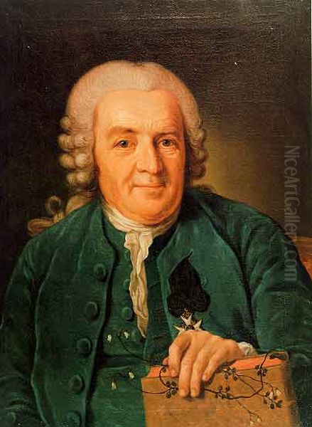 Portrait of Carl von Linne (Carolus Linnaeus) Oil Painting by Per Krafft the Elder