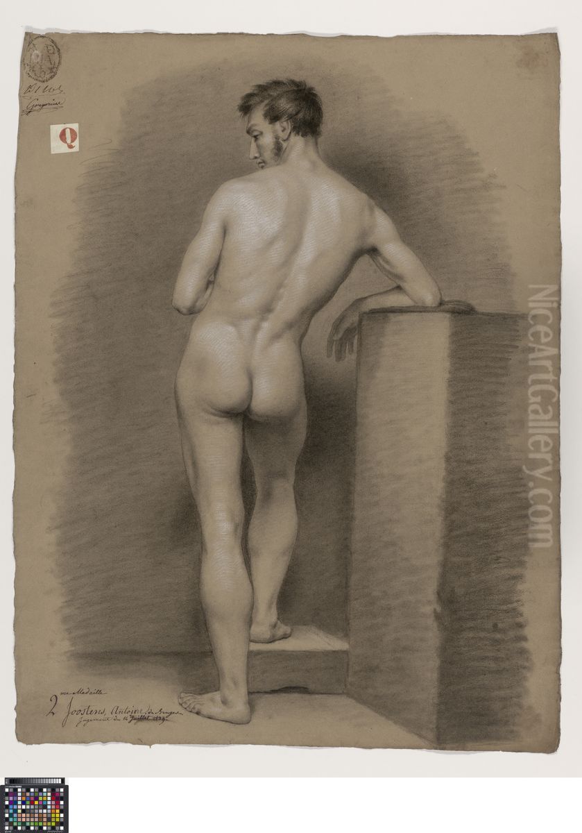 standing male nude, seen from behind Oil Painting by Antoon Joostens