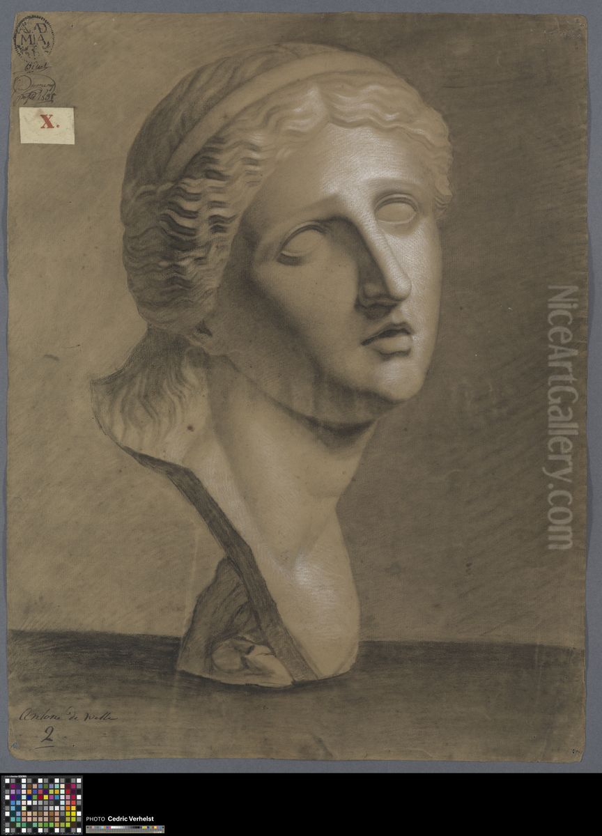 bust of Niobe Oil Painting by Antonius De Witte