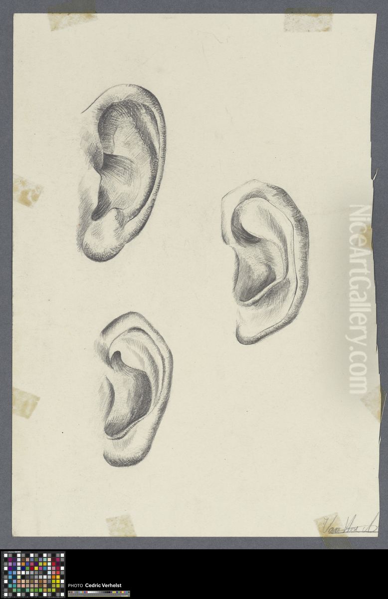 three ears Oil Painting by Musea Brugge