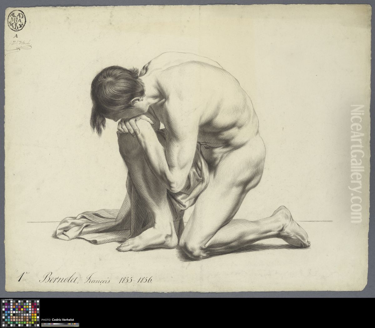 kneeling male nude with cloth Oil Painting by Francois Bernolet