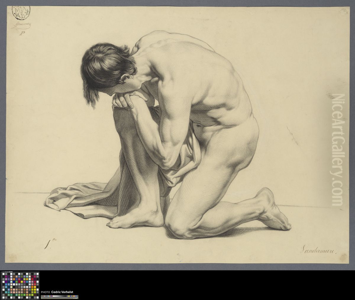 kneeling male nude with cloth Oil Painting by Jean Vandermeire