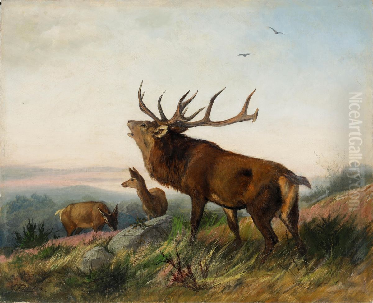 Hirschrudel auf einer Anhohe Oil Painting by Carl Friedrich Deiker