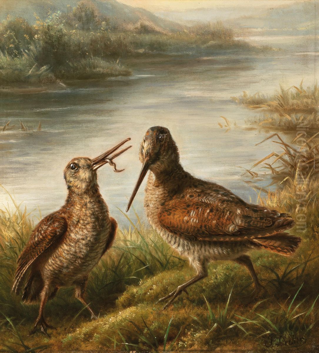 Two snipes on the river bank Oil Painting by Carl Friedrich Deiker