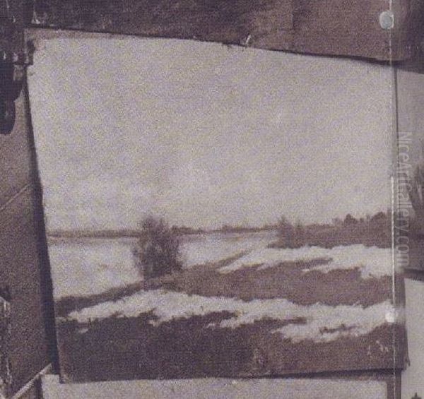 Pejzaz z drzewem Oil Painting by Stanislaw Ignacy Witkiewicz (Witkacy)