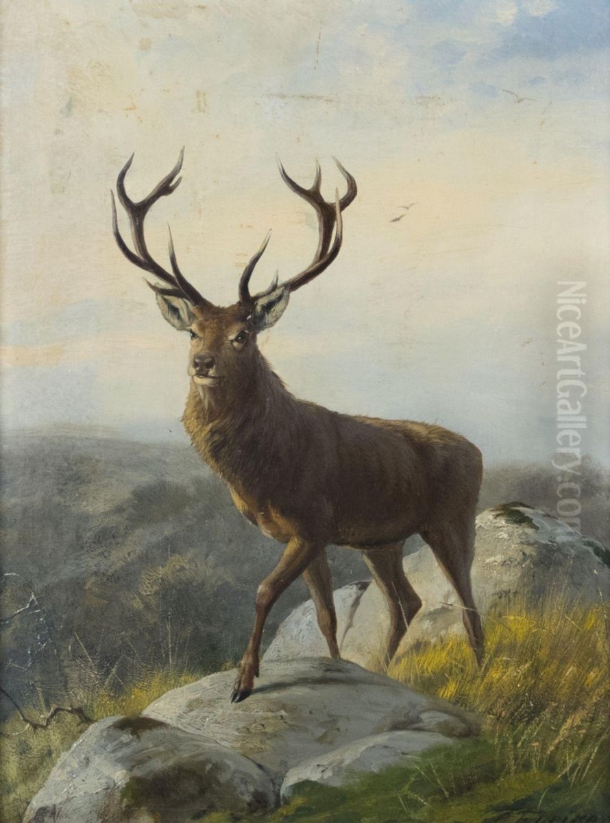 Hirsch Oil Painting by Carl Friedrich Deiker