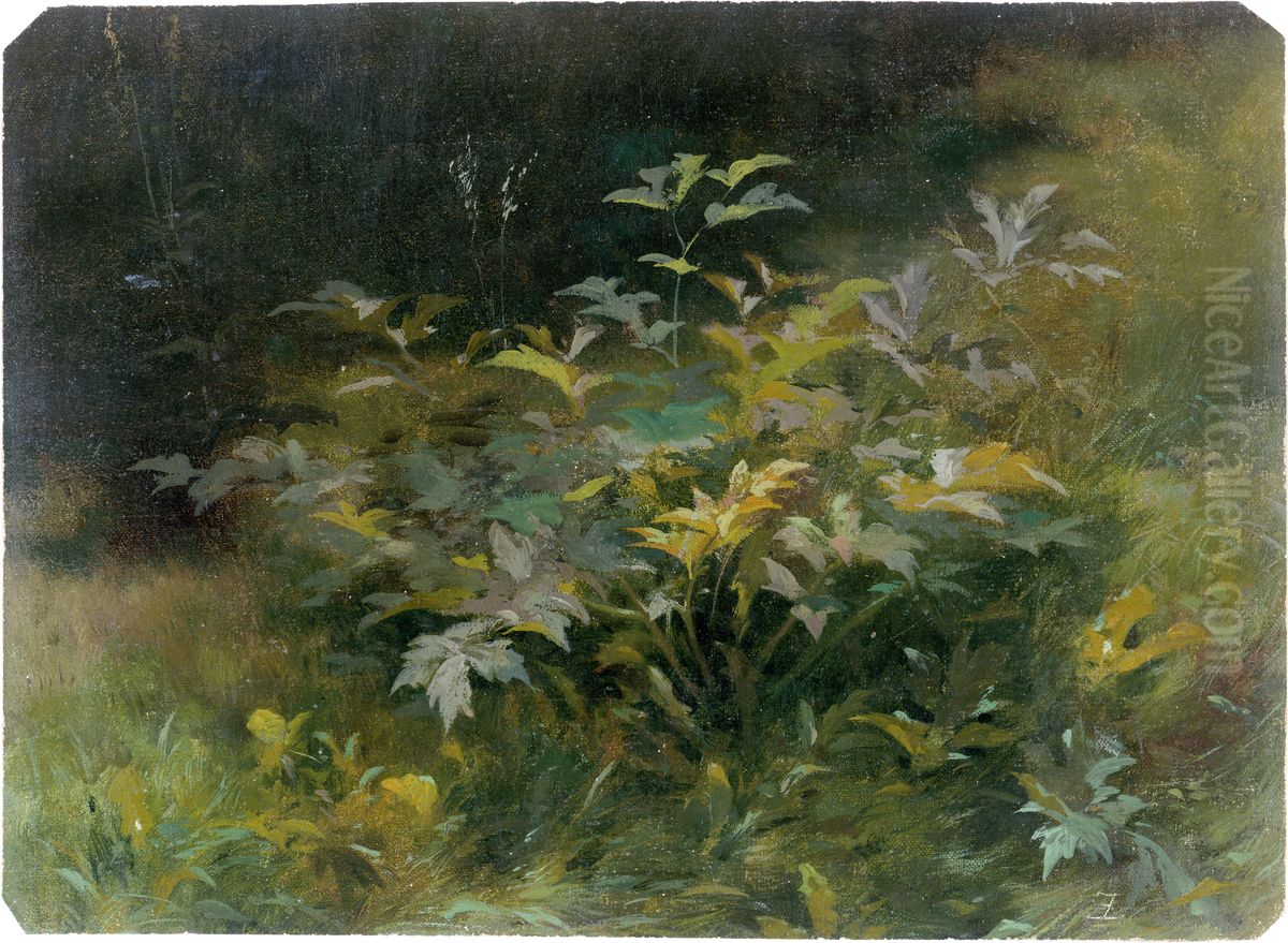 Blattpflanzen im sommerlichen Friedrichsgrund bei Pillnitz Oil Painting by Eduard Leonhardi