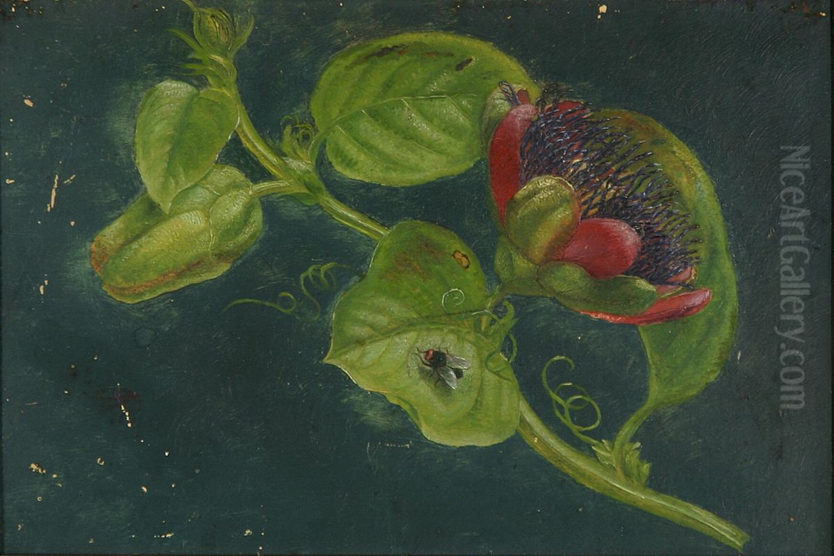 Blomstergren med flue pa blad. Oil Painting by Alfrida Baadsgaard