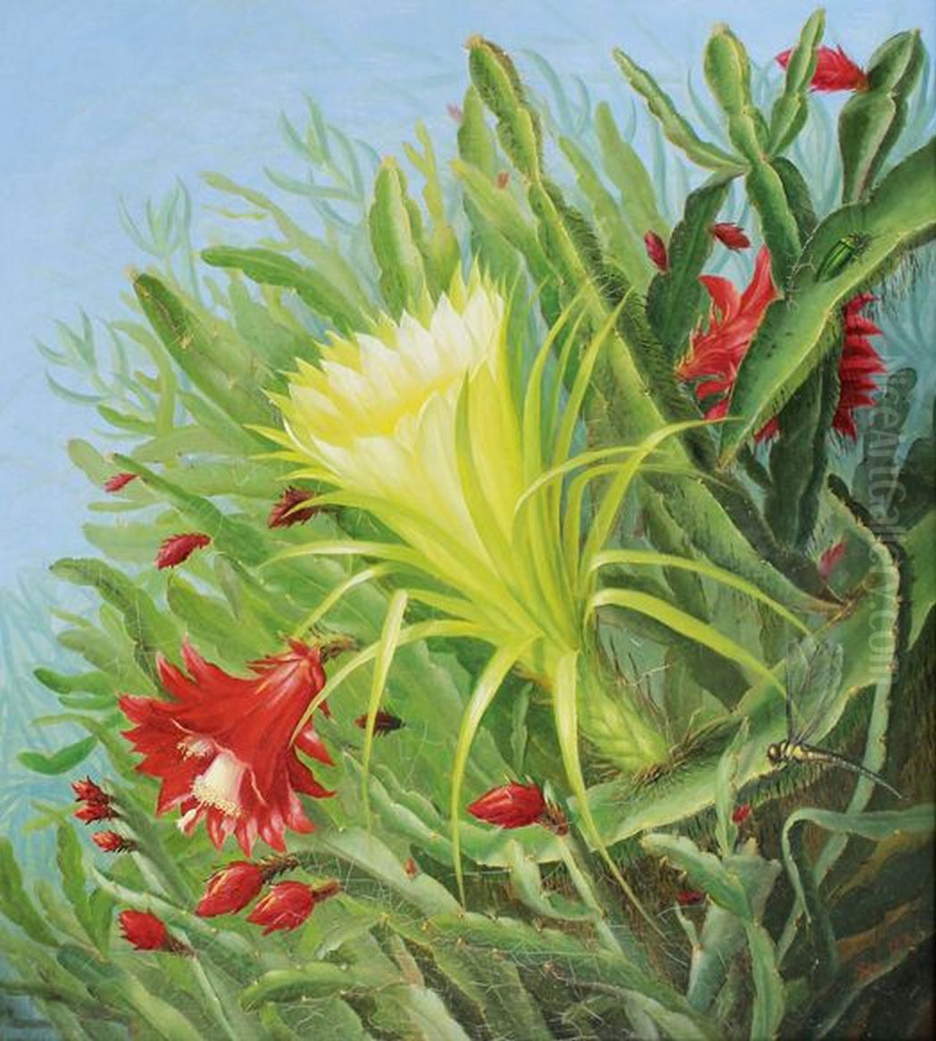 Kaktusblomster. Oil Painting by Alfrida Baadsgaard