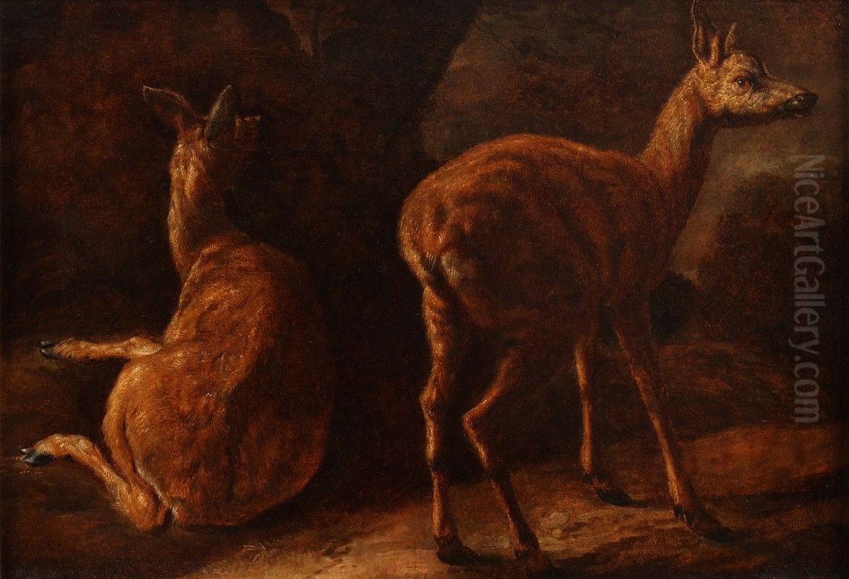 A study of two deer calfs Oil Painting by Nicasius Bernaerts