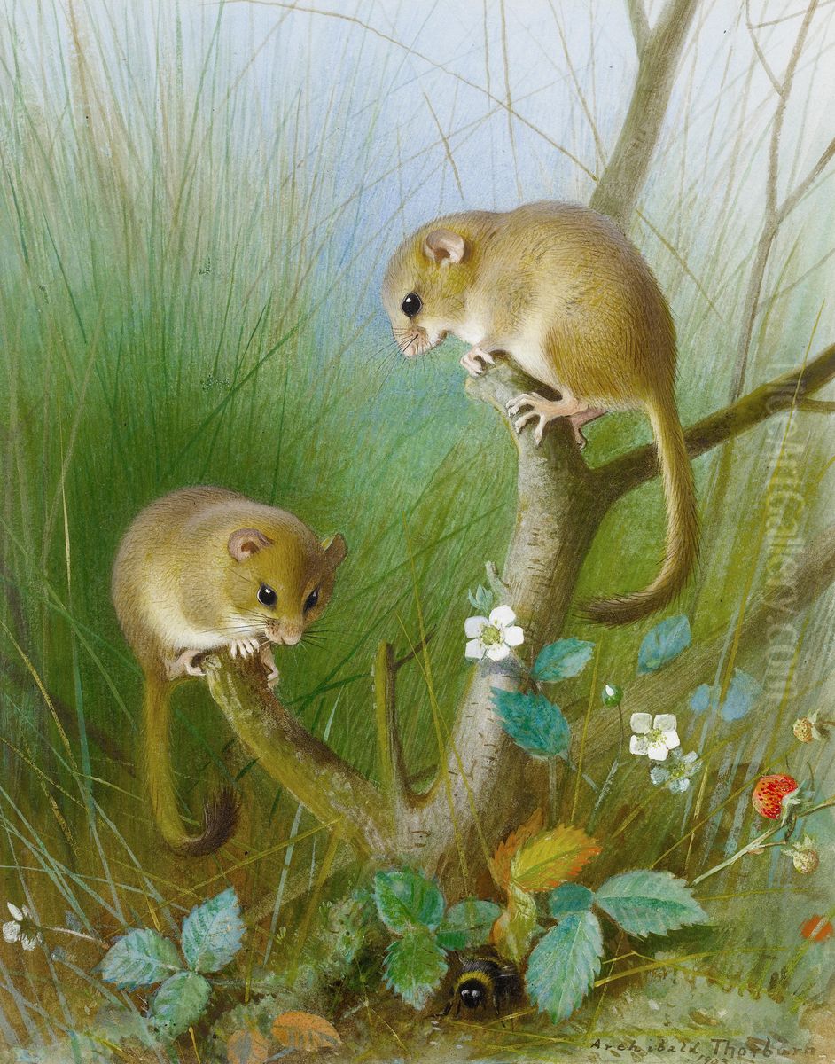 Dormice Oil Painting by Archibald Thorburn