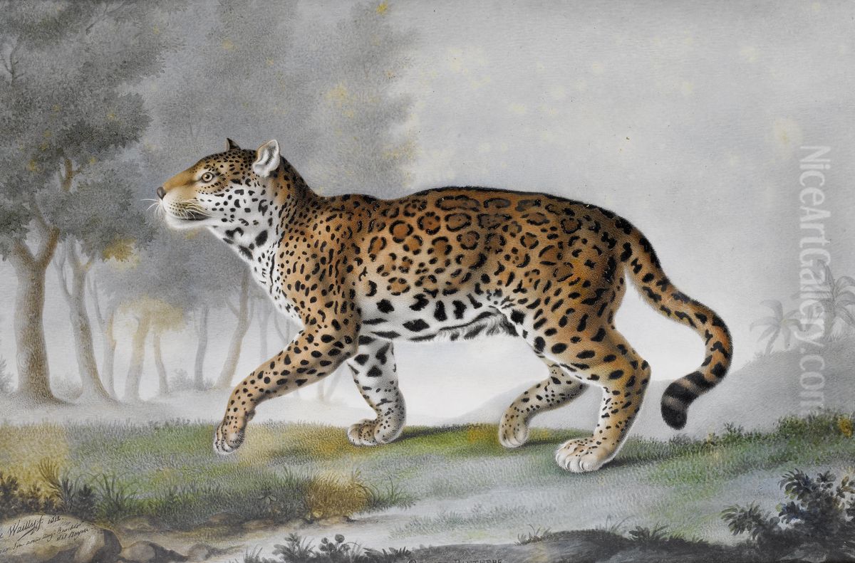 Grande Panthere, quart de la grandeur Oil Painting by unknown