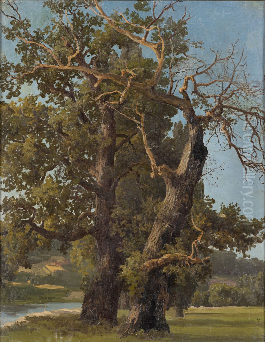 Vanhoja tammia Oil Painting by Victoria Aberg