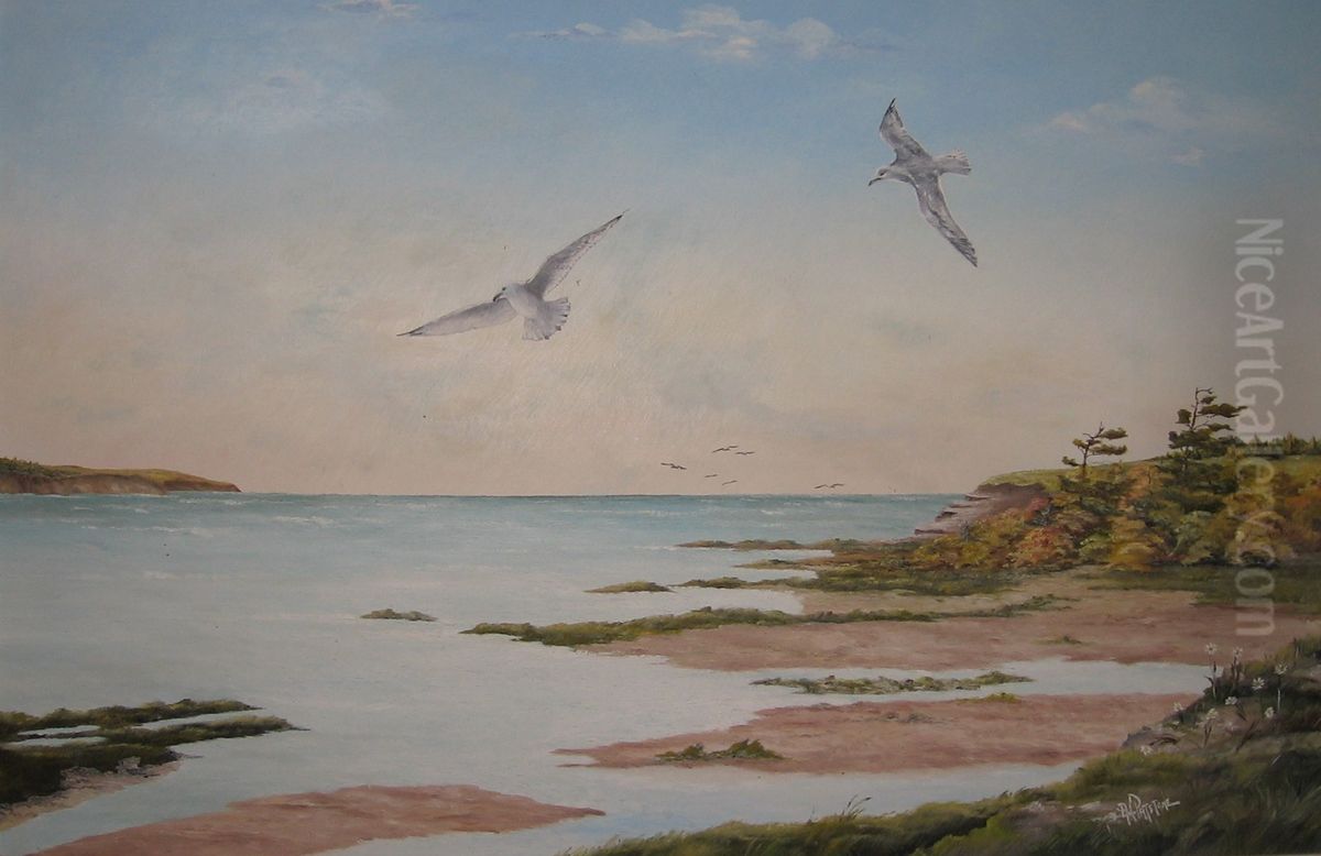 Dawn Flight - Two Seagulls Oil Painting by Alfred C. Patstone