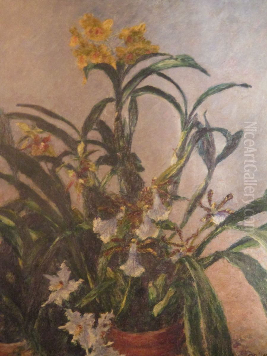 yellow orchids Oil Painting by unknown